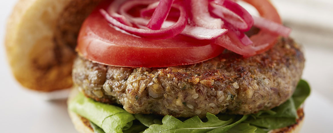 Hemp Seed Based Burger